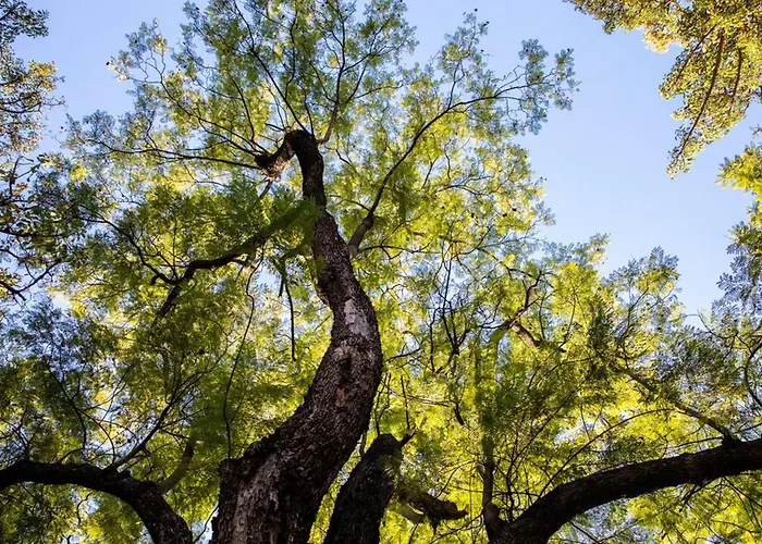 Guest house Casa Pavao 3*