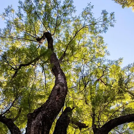 Gasthof Casa Pavao 3*